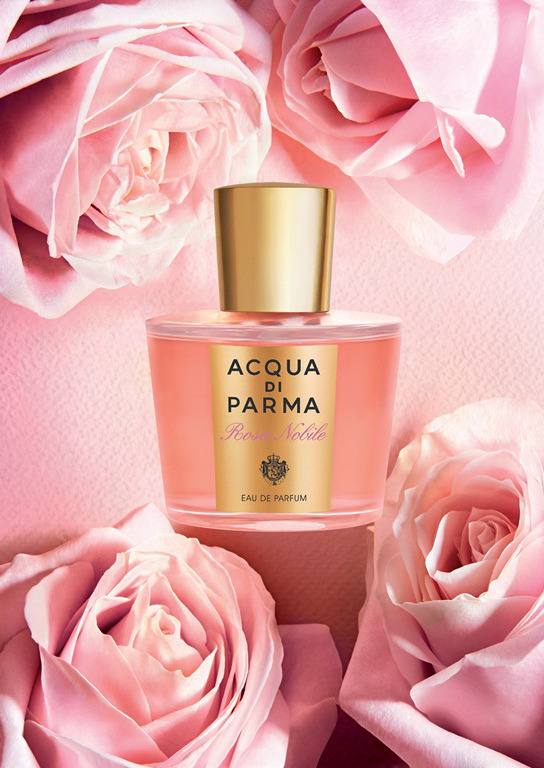 ���� ���������