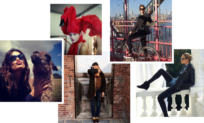 ����� ��������