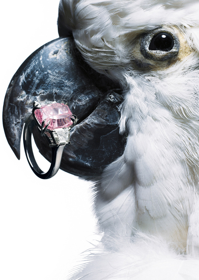 ������� ������