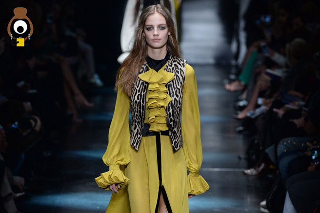 Roberto Cavalli: ��������� �����������