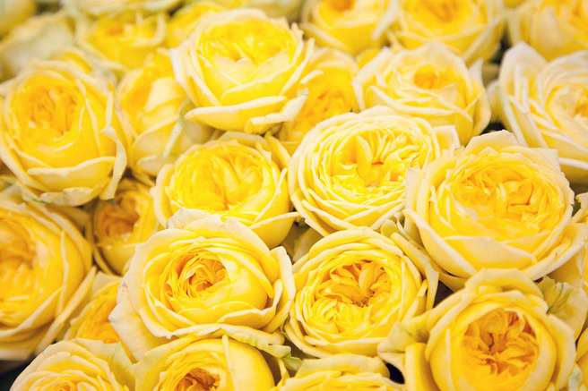 ������������ ���