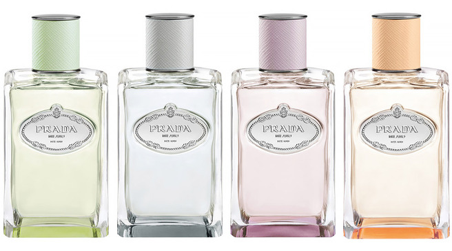 ����� ��������� ������������ �������� Prada