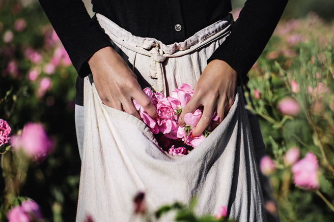 ���� �� ����� Dior