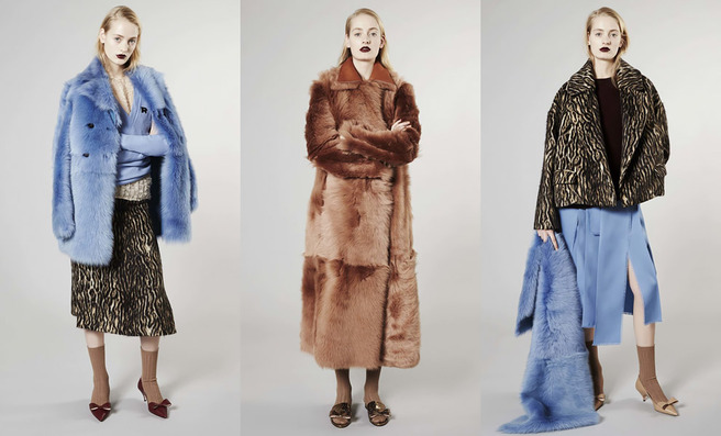 Rochas pre-fall 2016