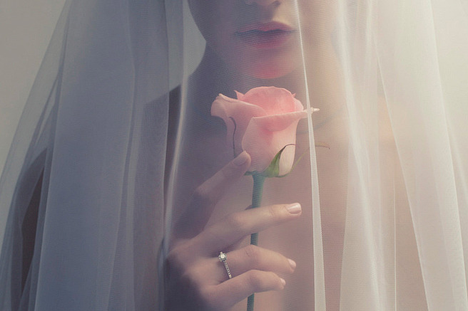 ������������ ����������� ������ ����������� ���������� ������