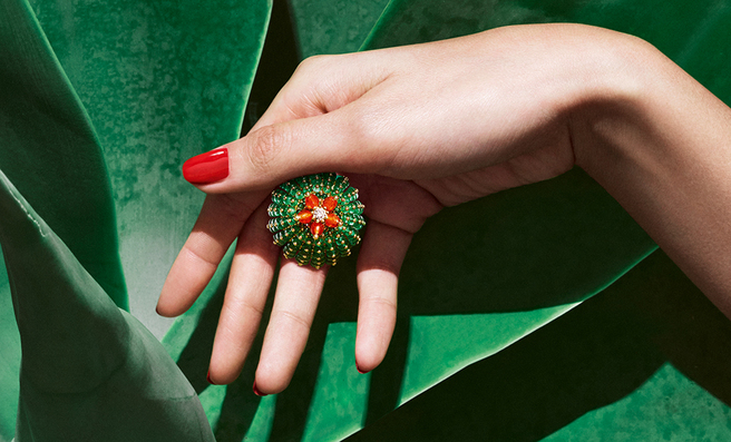 � �������, � �������: ��������� Cactus de Cartier