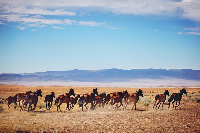 ����� ���������� � ����-���