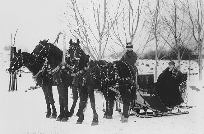 ������� ������ Cartier