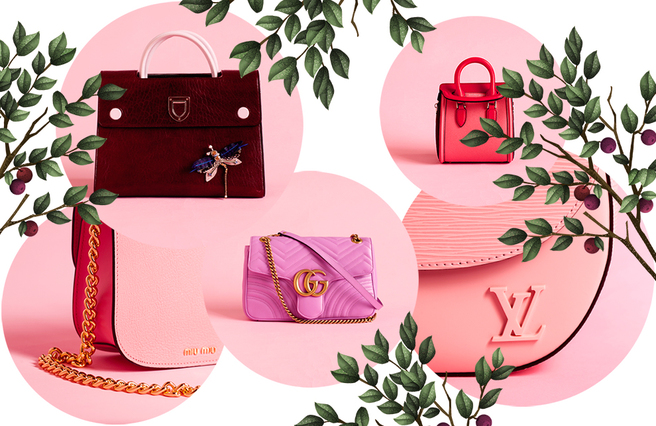 ������� �������: ����� ���� �������� �������� � ������ ���������� � ������� ���