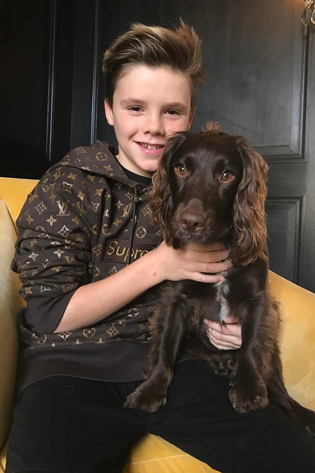 ���� ������ � ��������� Louis Vuitton x Supreme