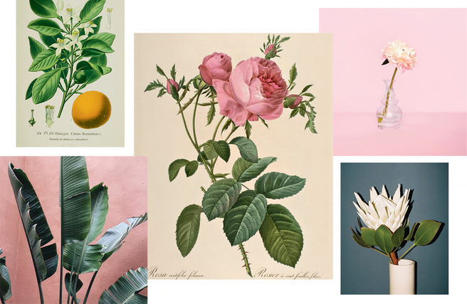 ��������������: �������� � ���� �����-���������� � ������ �����������