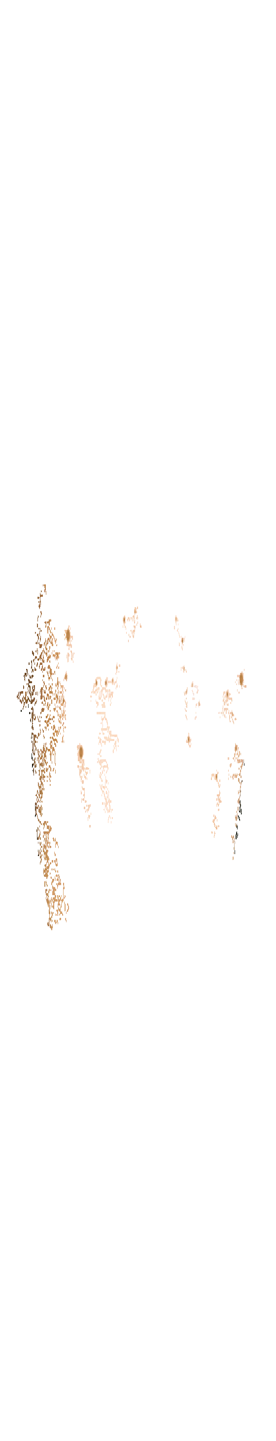 ��� � ����� �������� ��������, ��� �� ������� � ���-�����