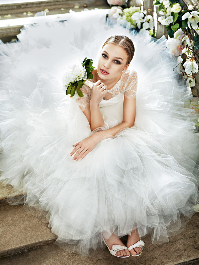 ���� ����