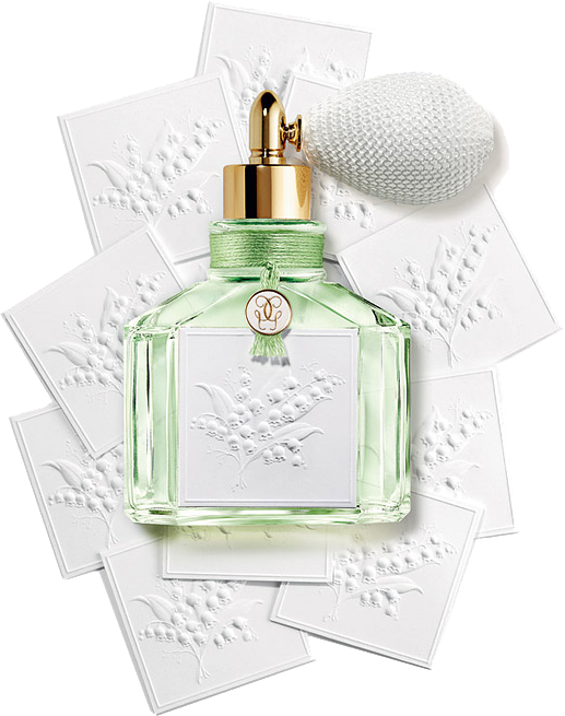 ������ �����������