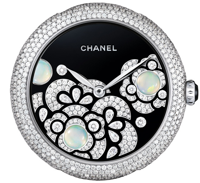 ���� ������� �����