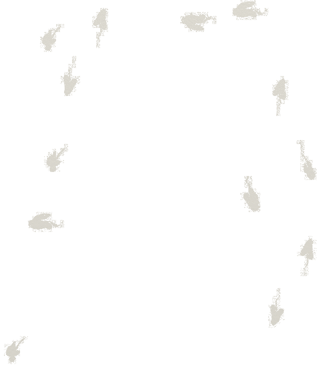 ������������� �����