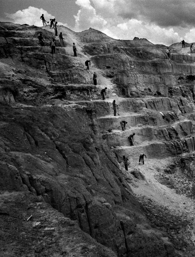 ������������� �������