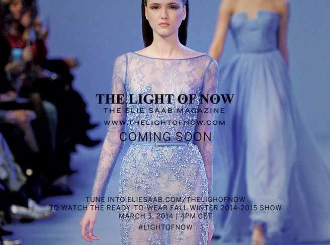 ���������� ������ Elie Saab